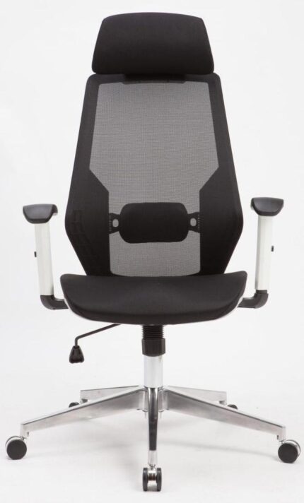 Fauteuil ergonomique IPAD avec accoudoirs