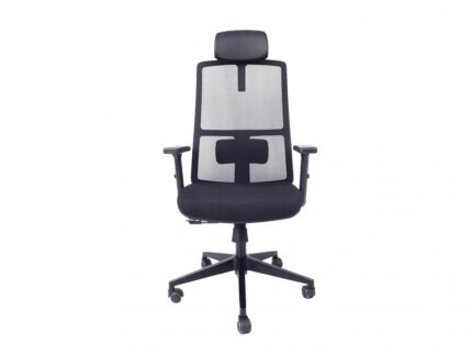 Fauteuil ergonomique GEOX avec accoudoirs